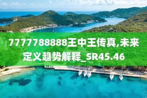 7777788888王中王传真,未来定义趋势解释_SR45.46