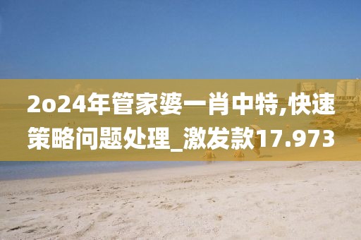 2o24年管家婆一肖中特,快速策略问题处理_激发款17.973