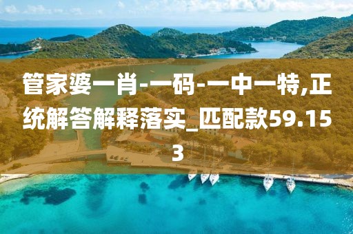 管家婆一肖-一码-一中一特,正统解答解释落实_匹配款59.153