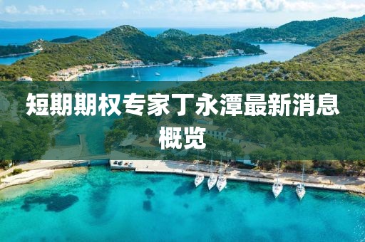 短期期权专家丁永潭最新消息概览