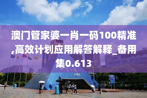 澳门管家婆一肖一码100精准,高效计划应用解答解释_备用集0.613