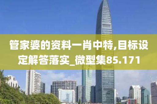 管家婆的资料一肖中特,目标设定解答落实_微型集85.171