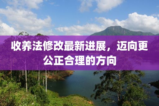 收养法修改最新进展，迈向更公正合理的方向