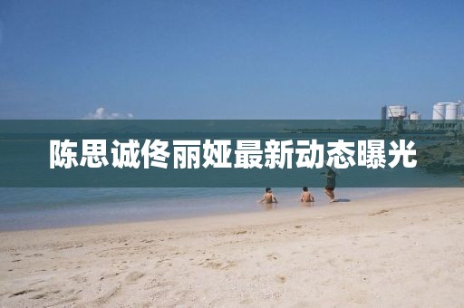 陈思诚佟丽娅最新动态曝光