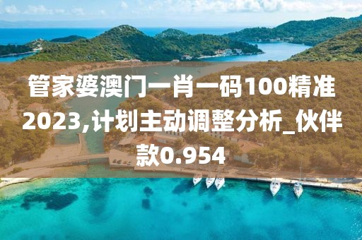 管家婆澳门一肖一码100精准2023,计划主动调整分析_伙伴款0.954