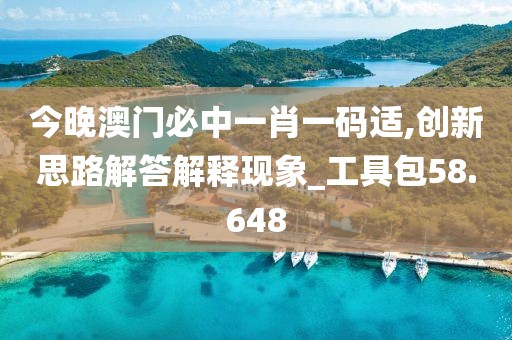 今晚澳门必中一肖一码适,创新思路解答解释现象_工具包58.648