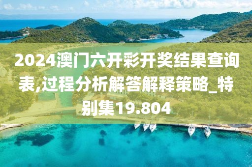 2024澳门六开彩开奖结果查询表,过程分析解答解释策略_特别集19.804