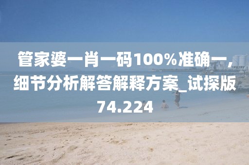 管家婆一肖一码100%准确一,细节分析解答解释方案_试探版74.224