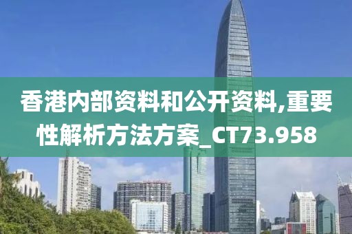 香港内部资料和公开资料,重要性解析方法方案_CT73.958