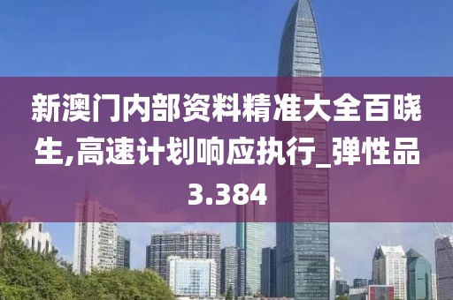 新澳门内部资料精准大全百晓生,高速计划响应执行_弹性品3.384