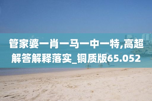管家婆一肖一马一中一特,高超解答解释落实_铜质版65.052