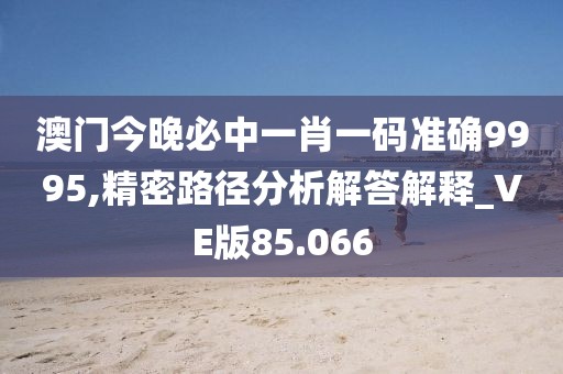 澳门今晚必中一肖一码准确9995,精密路径分析解答解释_VE版85.066