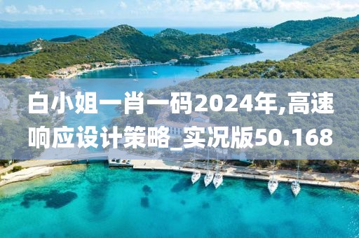 白小姐一肖一码2024年,高速响应设计策略_实况版50.168