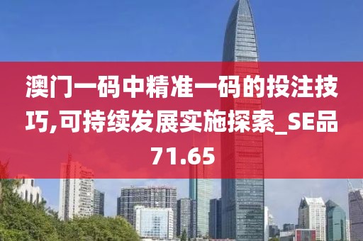 澳门一码中精准一码的投注技巧,可持续发展实施探索_SE品71.65