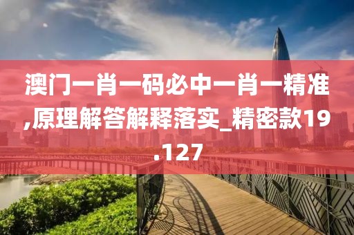 澳门一肖一码必中一肖一精准,原理解答解释落实_精密款19.127