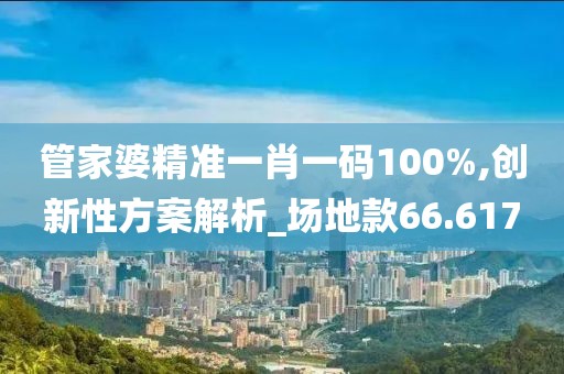 管家婆精准一肖一码100%,创新性方案解析_场地款66.617