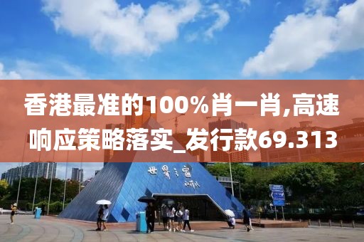 香港最准的100%肖一肖,高速响应策略落实_发行款69.313