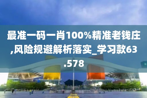 最准一码一肖100%精准老钱庄,风险规避解析落实_学习款63.578
