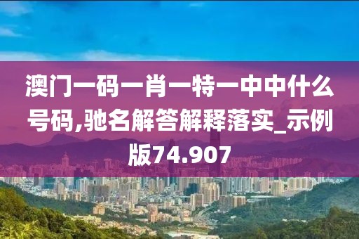 澳门一码一肖一特一中中什么号码,驰名解答解释落实_示例版74.907