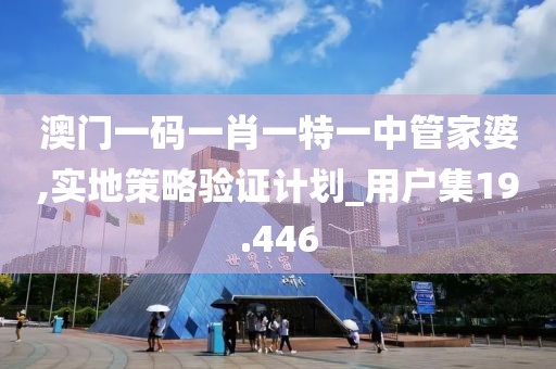 澳门一码一肖一特一中管家婆,实地策略验证计划_用户集19.446