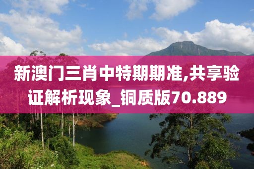 新澳门三肖中特期期准,共享验证解析现象_铜质版70.889