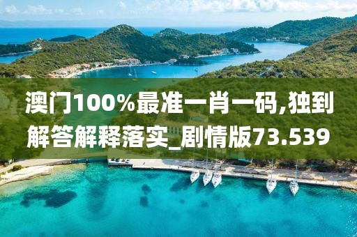 澳门100%最准一肖一码,独到解答解释落实_剧情版73.539