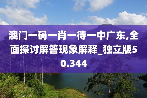 澳门一码一肖一待一中广东,全面探讨解答现象解释_独立版50.344