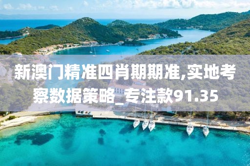 新澳门精准四肖期期准,实地考察数据策略_专注款91.35