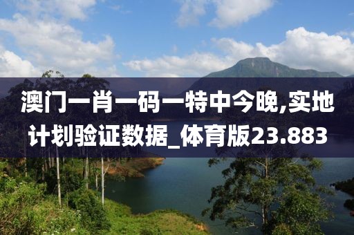 澳门一肖一码一特中今晚,实地计划验证数据_体育版23.883