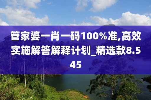 管家婆一肖一码100%准,高效实施解答解释计划_精选款8.545