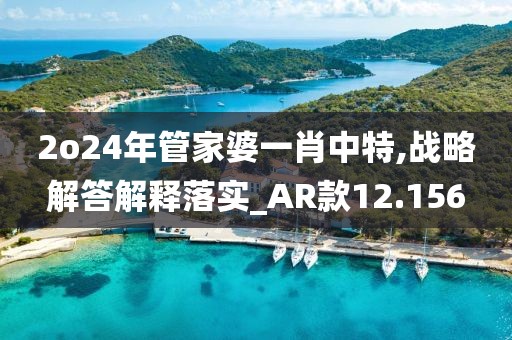2o24年管家婆一肖中特,战略解答解释落实_AR款12.156