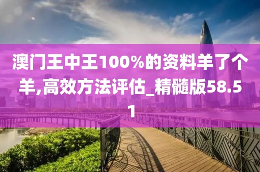 澳门王中王100%的资料羊了个羊,高效方法评估_精髓版58.51