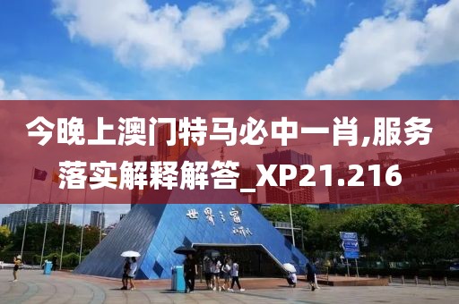今晚上澳门特马必中一肖,服务落实解释解答_XP21.216