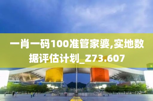 一肖一码100准管家婆,实地数据评估计划_Z73.607