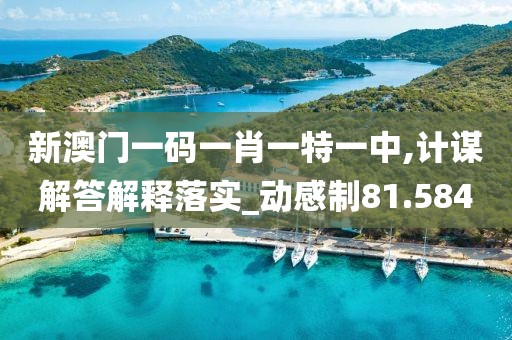 新澳门一码一肖一特一中,计谋解答解释落实_动感制81.584