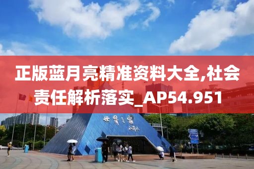 正版蓝月亮精准资料大全,社会责任解析落实_AP54.951
