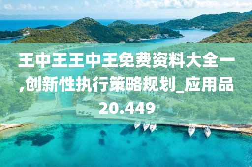 王中王王中王免费资料大全一,创新性执行策略规划_应用品20.449