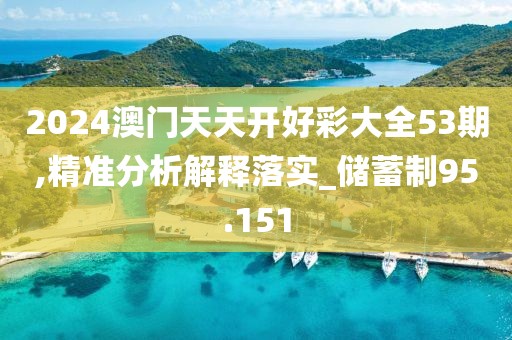 2024澳门天天开好彩大全53期,精准分析解释落实_储蓄制95.151