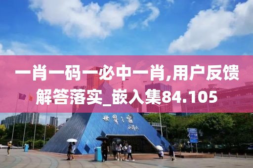 一肖一码一必中一肖,用户反馈解答落实_嵌入集84.105