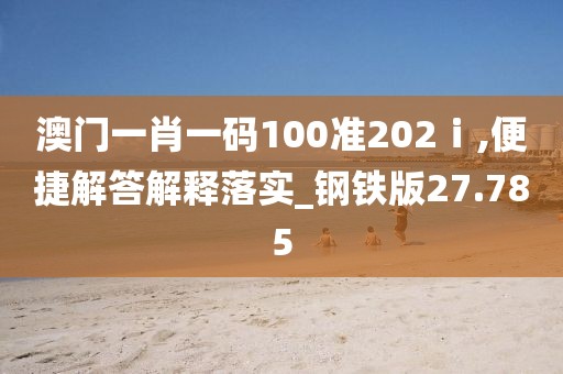 澳门一肖一码100准202ⅰ,便捷解答解释落实_钢铁版27.785