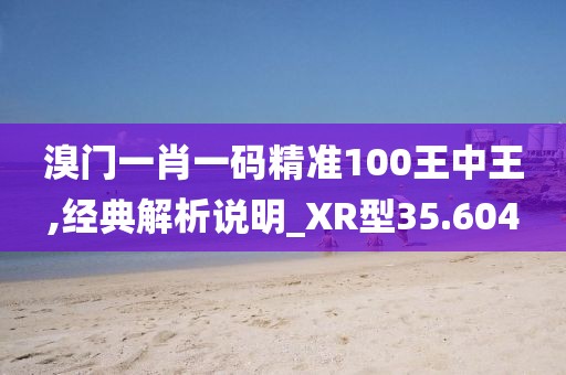 溴门一肖一码精准100王中王,经典解析说明_XR型35.604