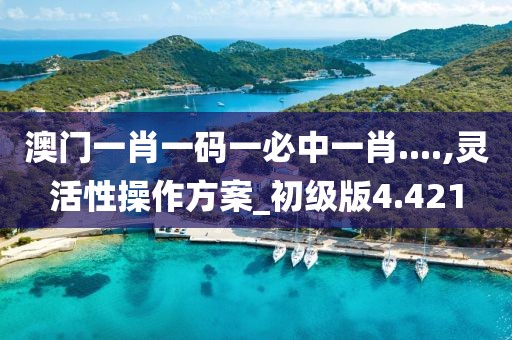 两把枪闯天下 第60页