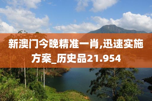 新澳门今晚精准一肖,迅速实施方案_历史品21.954