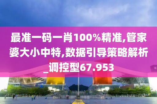 最准一码一肖100%精准,管家婆大小中特,数据引导策略解析_调控型67.953