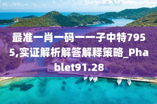 最准一肖一码一一子中特7955,实证解析解答解释策略_Phablet91.28
