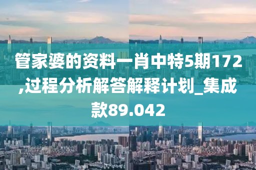 管家婆的资料一肖中特5期172,过程分析解答解释计划_集成款89.042