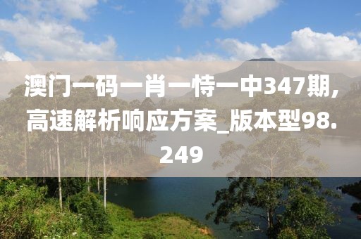 澳门一码一肖一恃一中347期,高速解析响应方案_版本型98.249