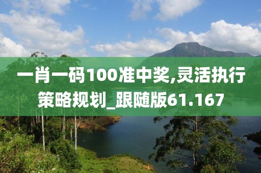 一肖一码100准中奖,灵活执行策略规划_跟随版61.167