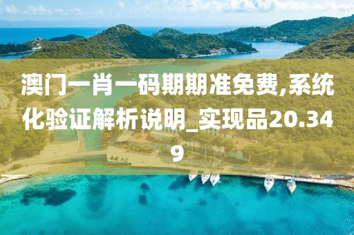 澳门一肖一码期期准免费,系统化验证解析说明_实现品20.349