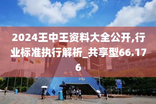 2024王中王资料大全公开,行业标准执行解析_共享型66.176
